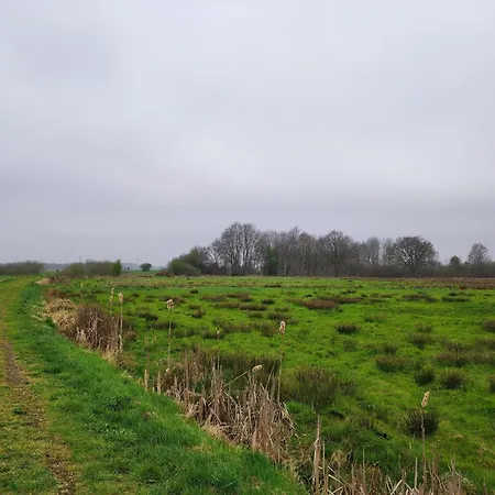 Weideblick * Steinsieken