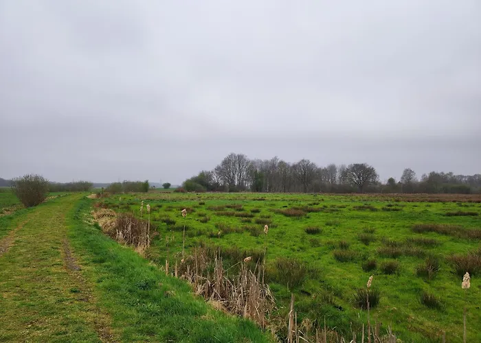 Weideblick * Steinsieken
